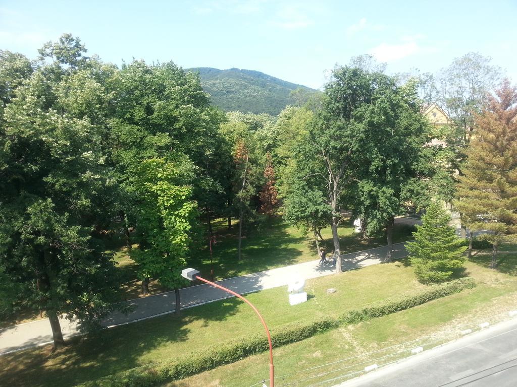 Park Srce Apartments Arandjelovac Habitación foto